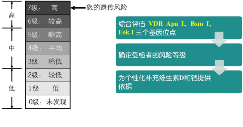 维生素D代谢与钙吸收能力评估