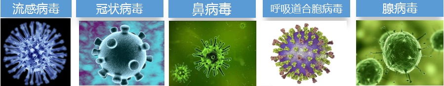 15联呼吸道病毒多重核酸检测
