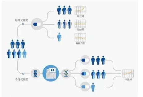 消化系统用药指导基因检测