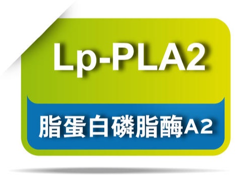 脂蛋白相关磷脂酶A2定量检测