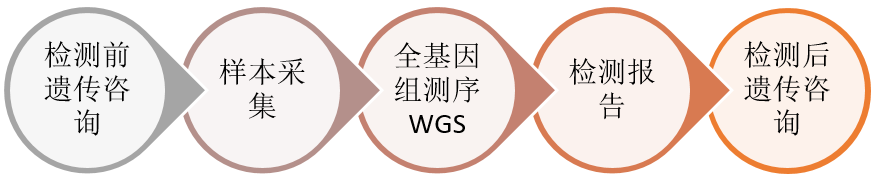 全基因组测序在遗传病检测中的临床应用专家共识