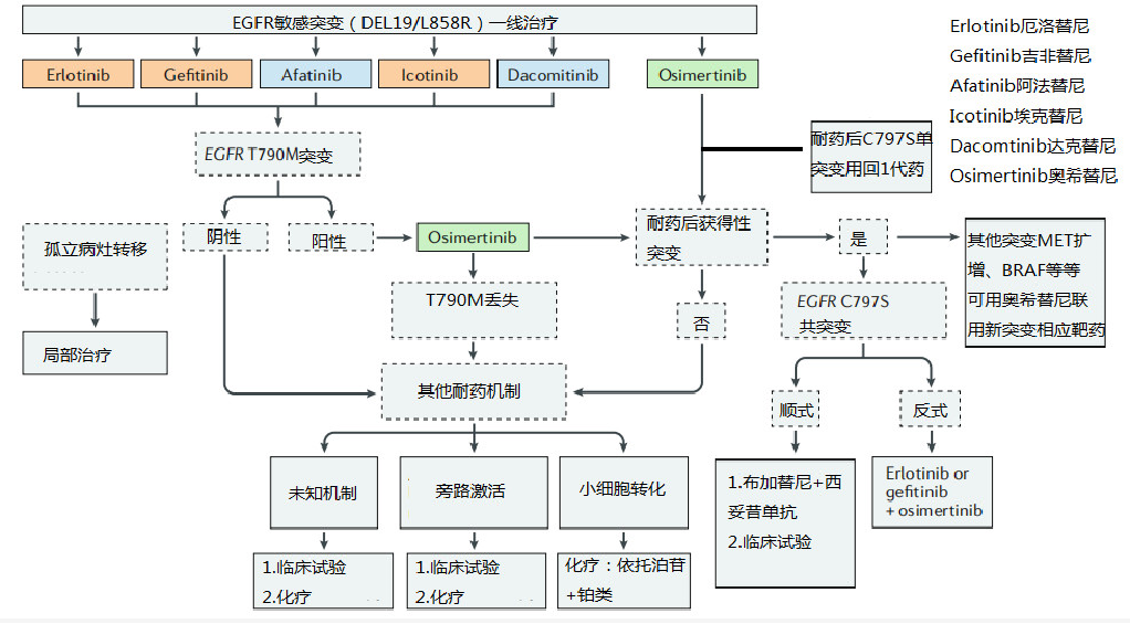 肿瘤NGS核心版基因检测