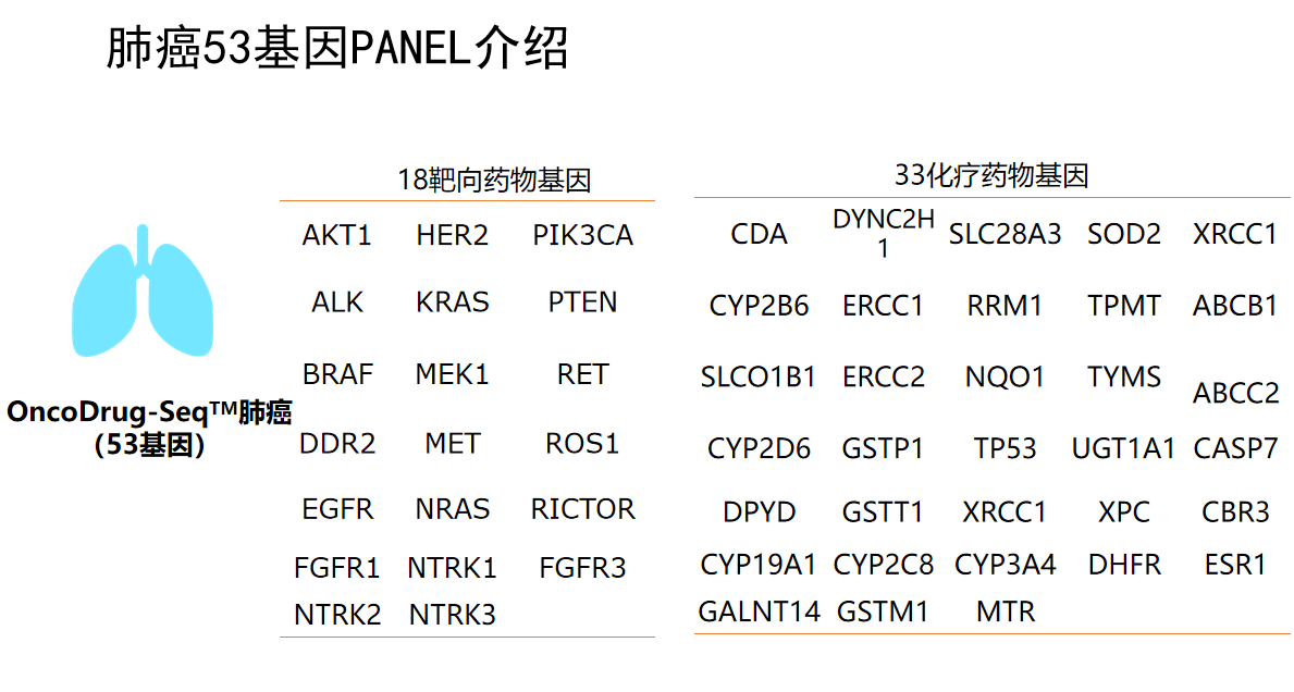 肿瘤NGS综合版基因检测